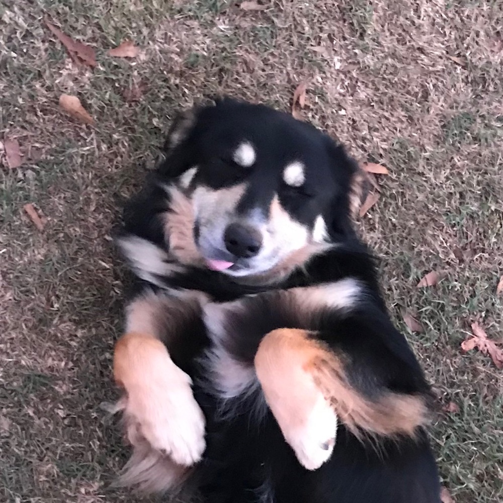 Meet your Posher, Annette